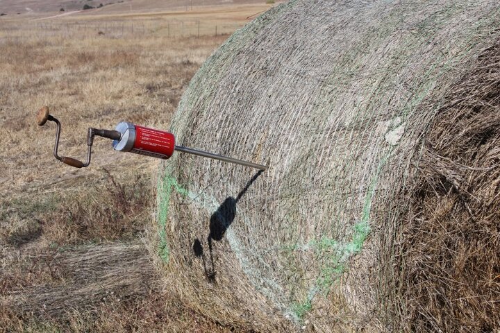 tester in a hay bale