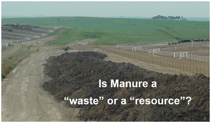 manure piled