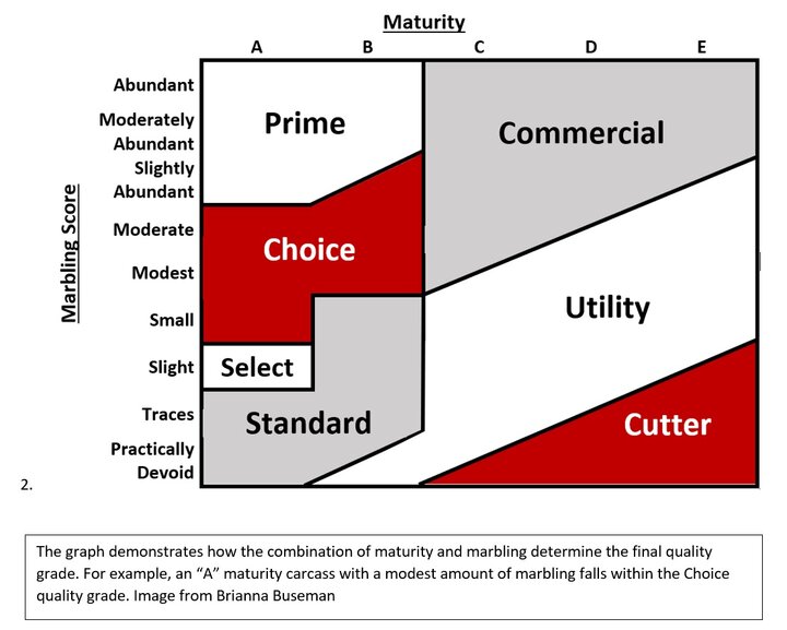 Maturity and marbling