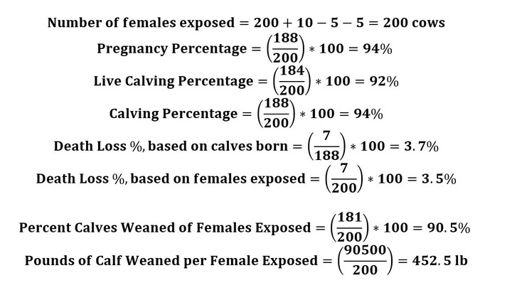 Calculations for measures of performance