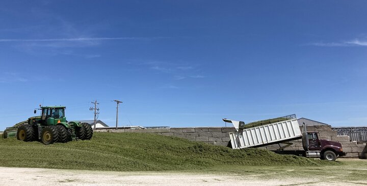 Packing small grain silage