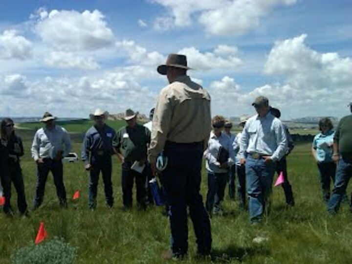 Producers in a field