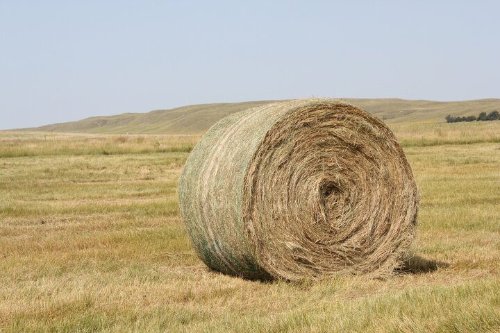 Bale of prairie hay