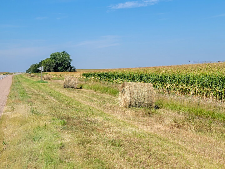 Hay bales in the road ditch