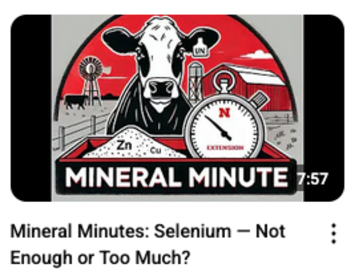 Screenshot of title card for a "Mineral Minute" YouTube video from the UNL BeefWatch team