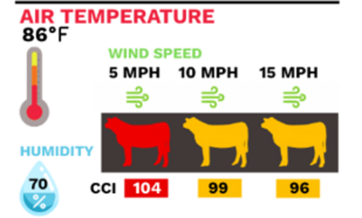 Cattle Comfort Index