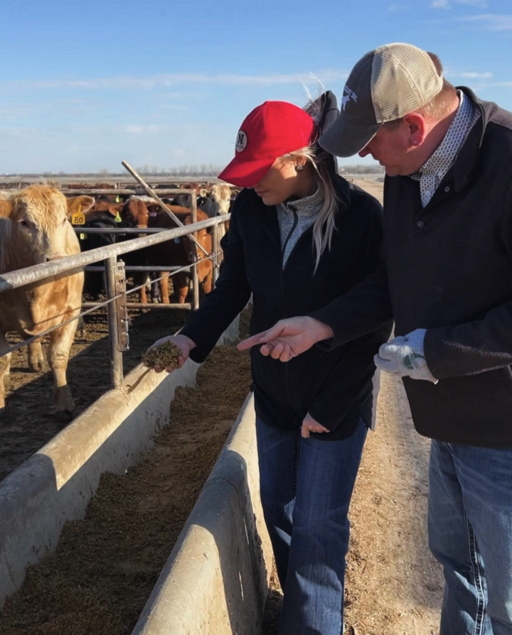 two people examing cattle feed from a feedbunk