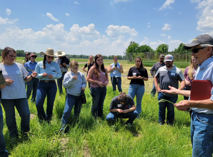 a group participating in the ranch practicum