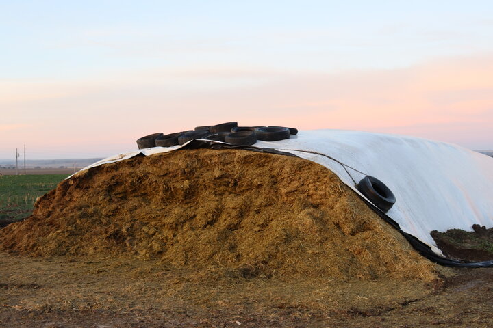 Silage pile