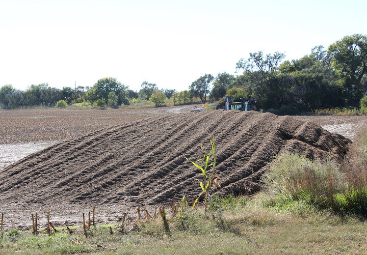 Silage pile