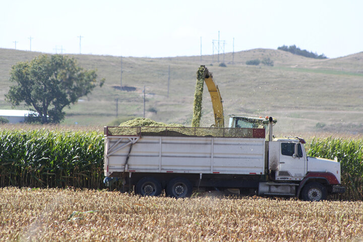 Cutting silage