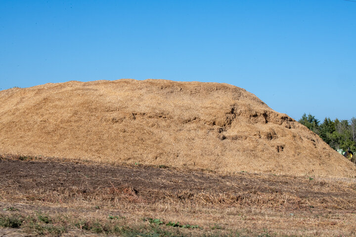 Silage pile