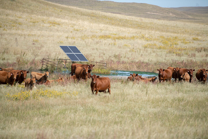 Solar well