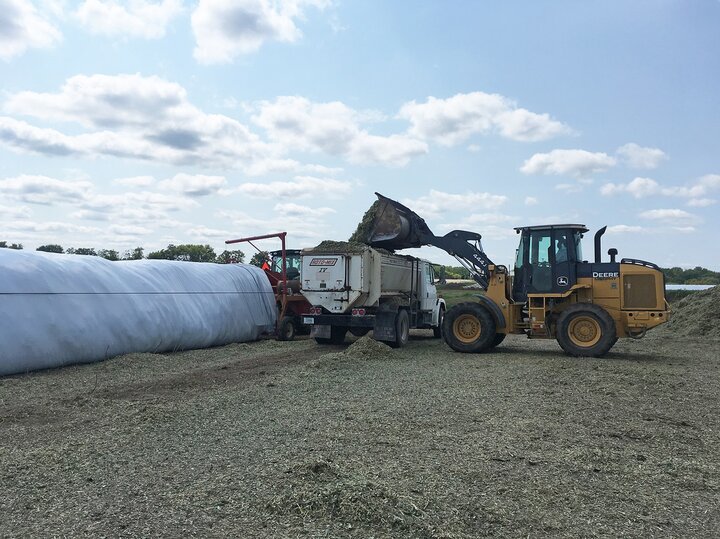 Sorghum silage bagging