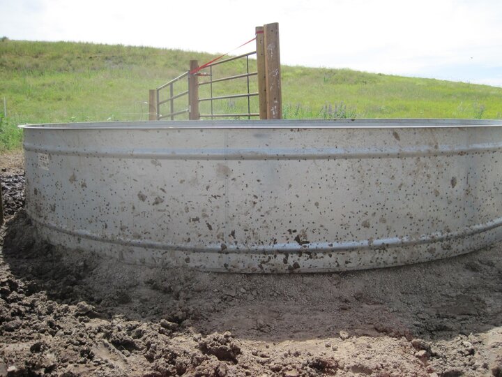 Stable flies rest in the cool shade of a stock tank