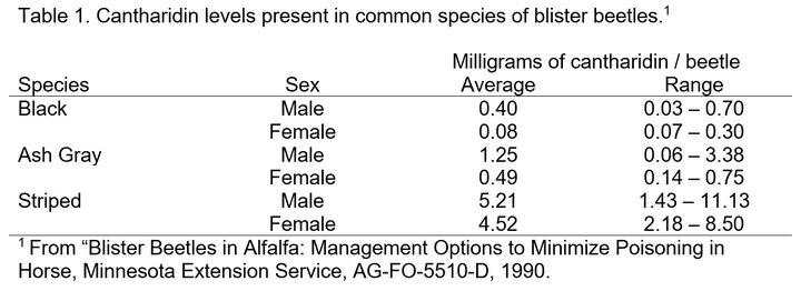 Cantharidin levels