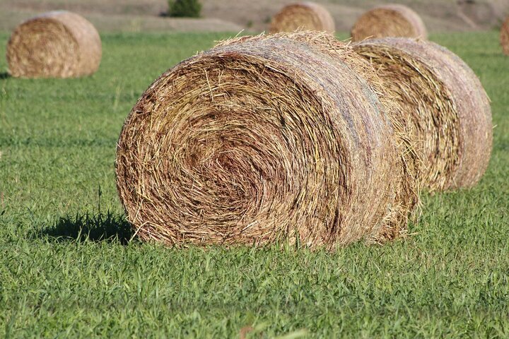 hay bales