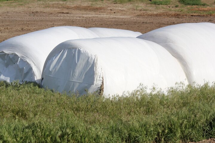baleage