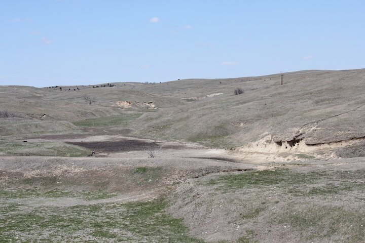 Dry pastures due to drought