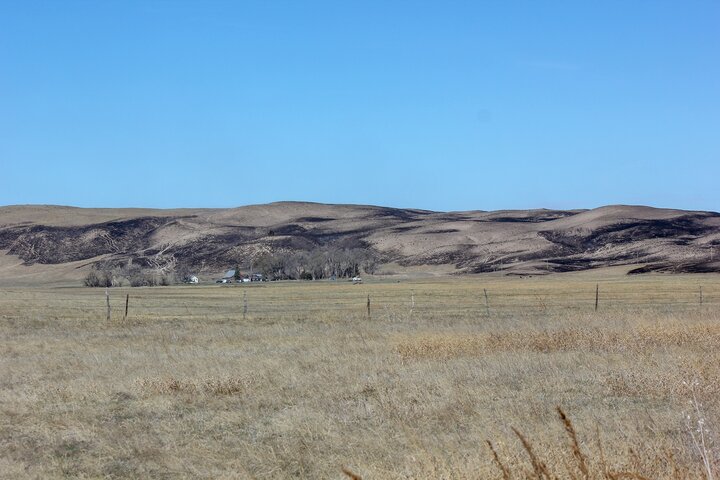 Sandhills after wildfire