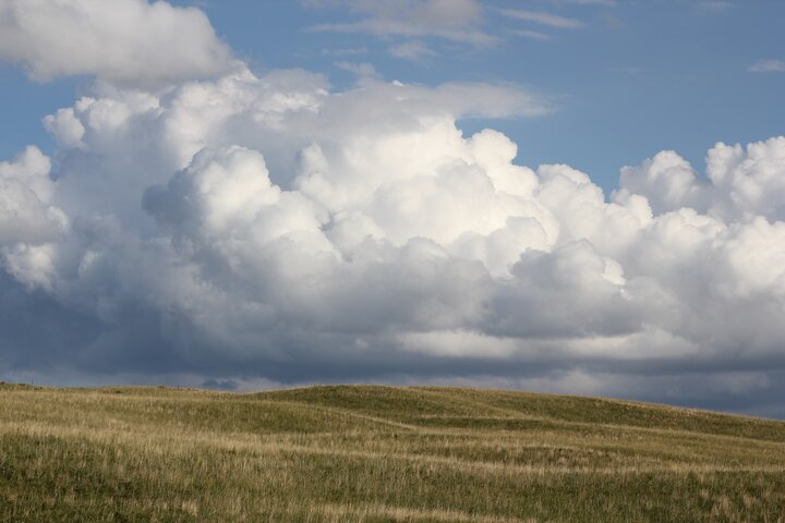 Rangeland
