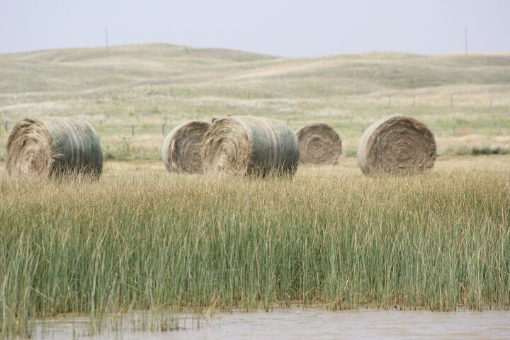 hay bales