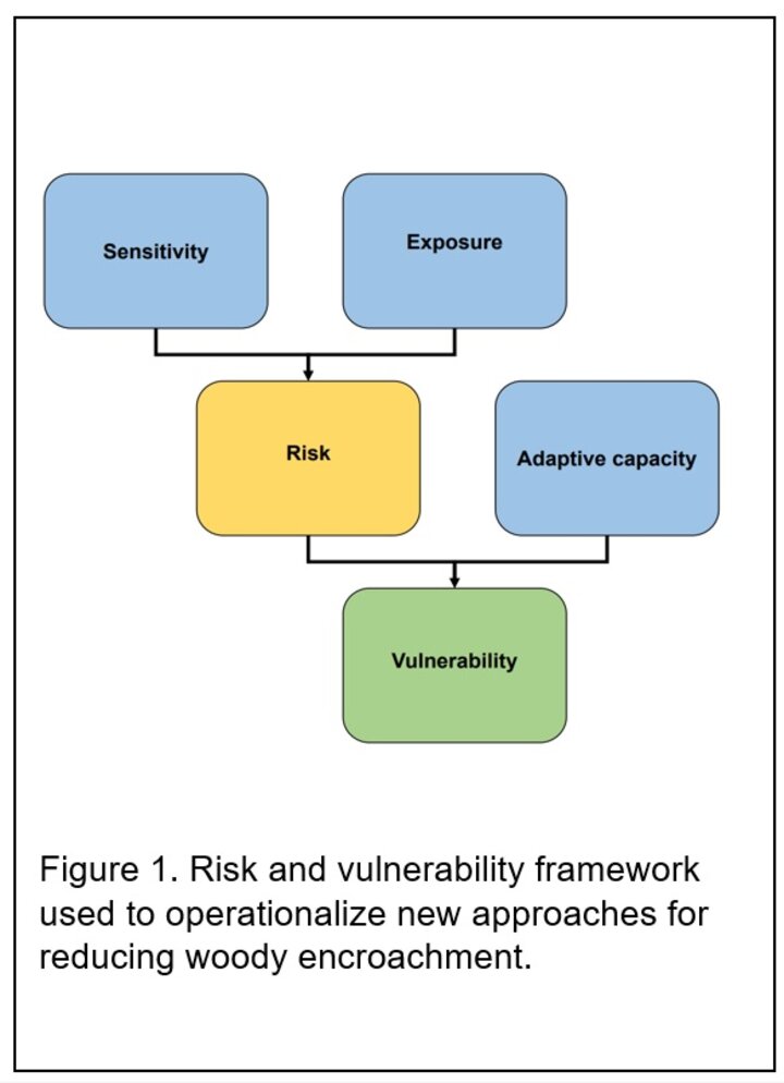 Risk and vulnerability framework used to operationalize new approaches for reducing woody encroachment. 