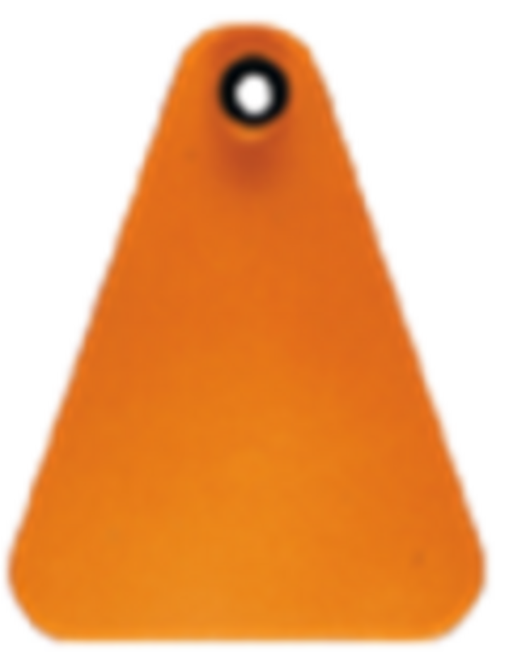 orange triangular cattle ear tag