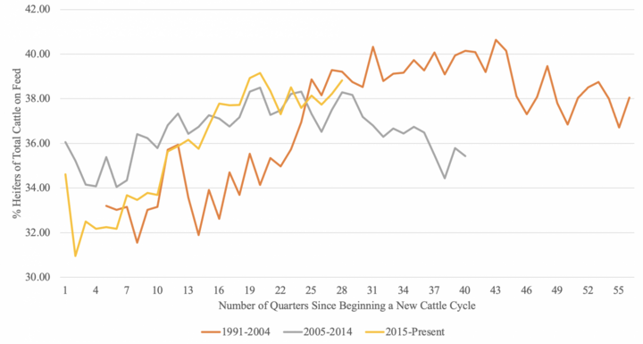 Percent of Total Cattle on Feed that are Heifers Nationally by Number of Quarters Since the Beginning of a New Cattle Cycle