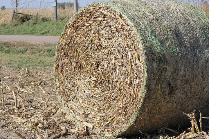 Bale of hay