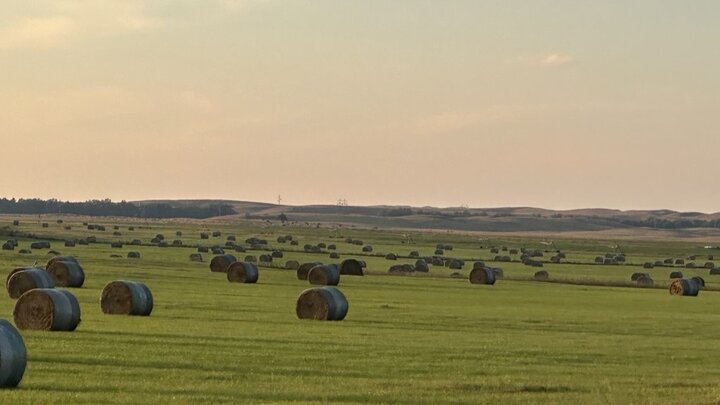 Round hay bales on meadow.  Photo by TL Meyer